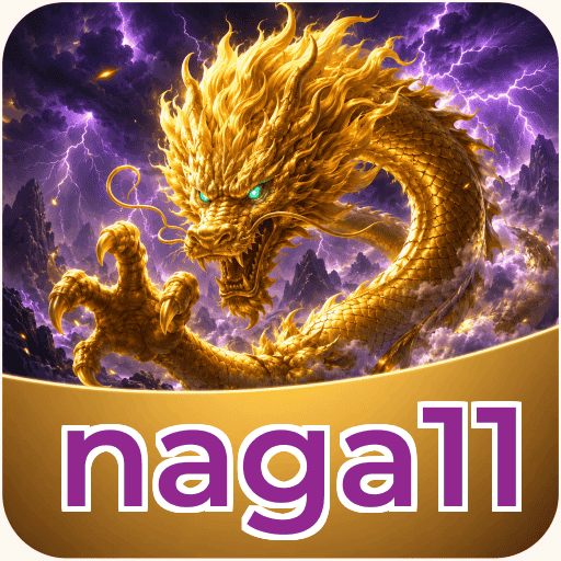 Developer Info naga11